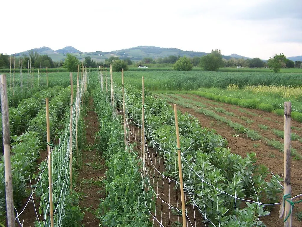 Agriturismo La Lenticchia Fratta Terme Farm stay